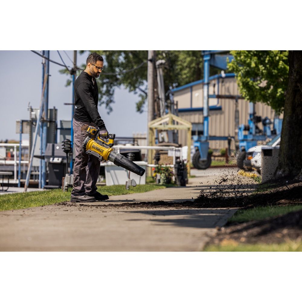 Dewalt 18v blower review online