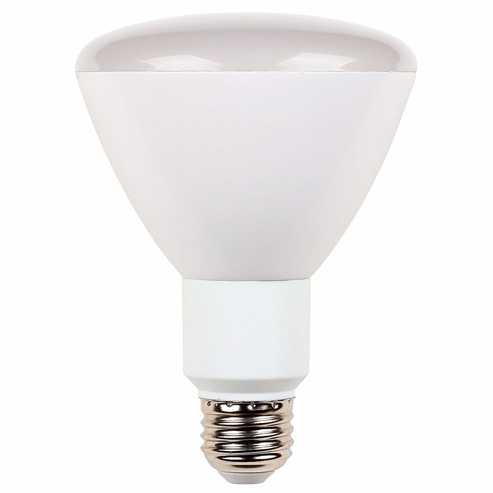 

Westinghouse Dimmable Reflector LED is a high-performance 8.5-Watt light bulb (8.5R30/LED/DIM/27)