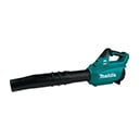 Leaf Blowers & Vacs