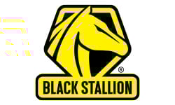 black-stallion image