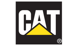 cat image
