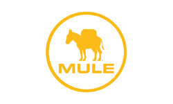 Mule
